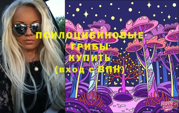 гидра Осинники