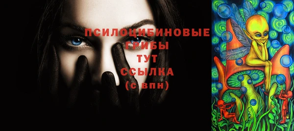 прущие грибы Туринск