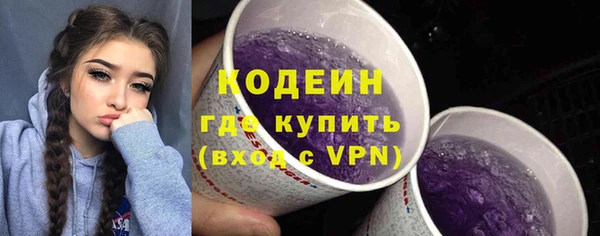 шишки Тутаев