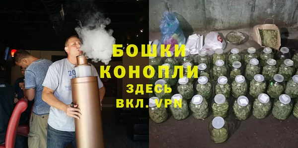 гидра Осинники