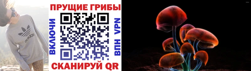 Псилоцибиновые грибы MAGIC MUSHROOMS Полысаево