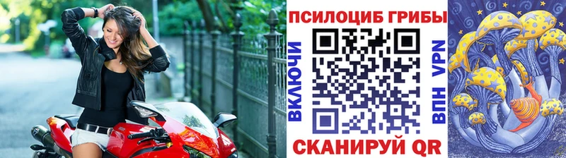 что такое   Полысаево  Галлюциногенные грибы прущие грибы 
