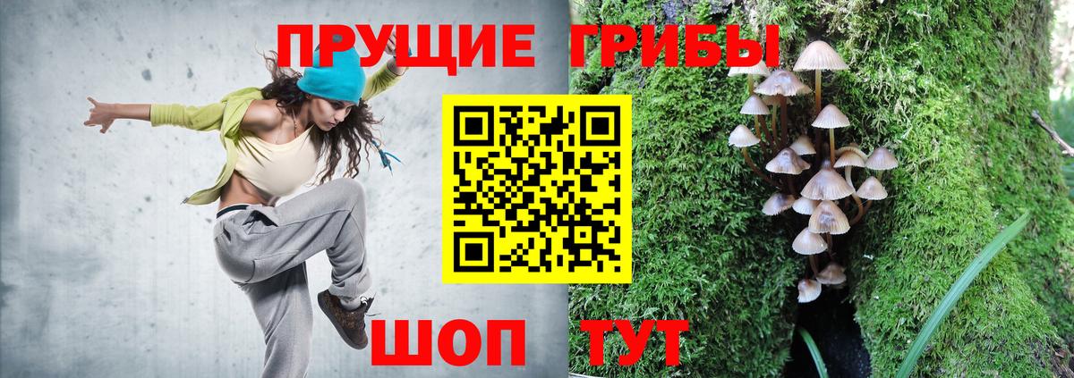 Полысаево  Галлюциногенные грибы Psilocybine cubensis  Вход с VPN 