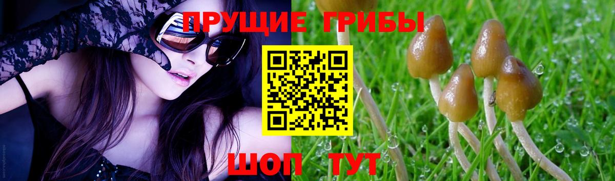 Галлюциногенные грибы GOLDEN TEACHER Полысаево