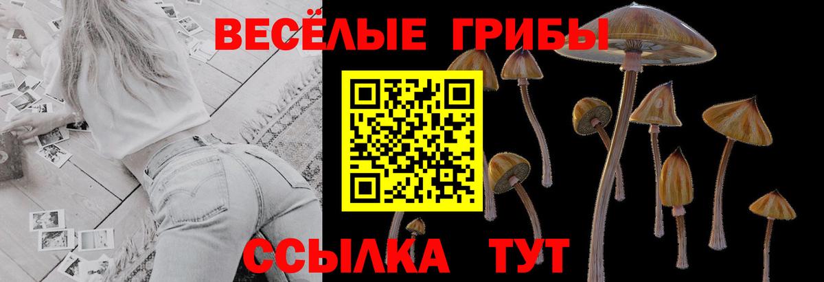 Галлюциногенные грибы Psilocybe  Псилоцибиновые грибы ЛСД  закладка  Полысаево 